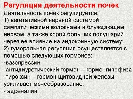 Почечная активность