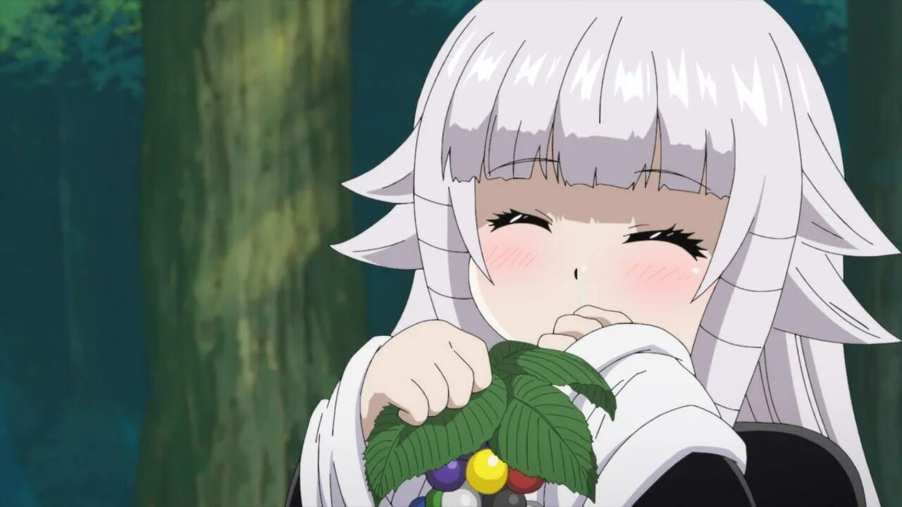 Yuusha, yamemasu i'm quitting heroing. Филу восхождение героя щита. Mira (sono kojou ni yuusha hou ari!). Sono kojou ni yuusha hou ari аниме. Перестану быть героем аниме 2022.