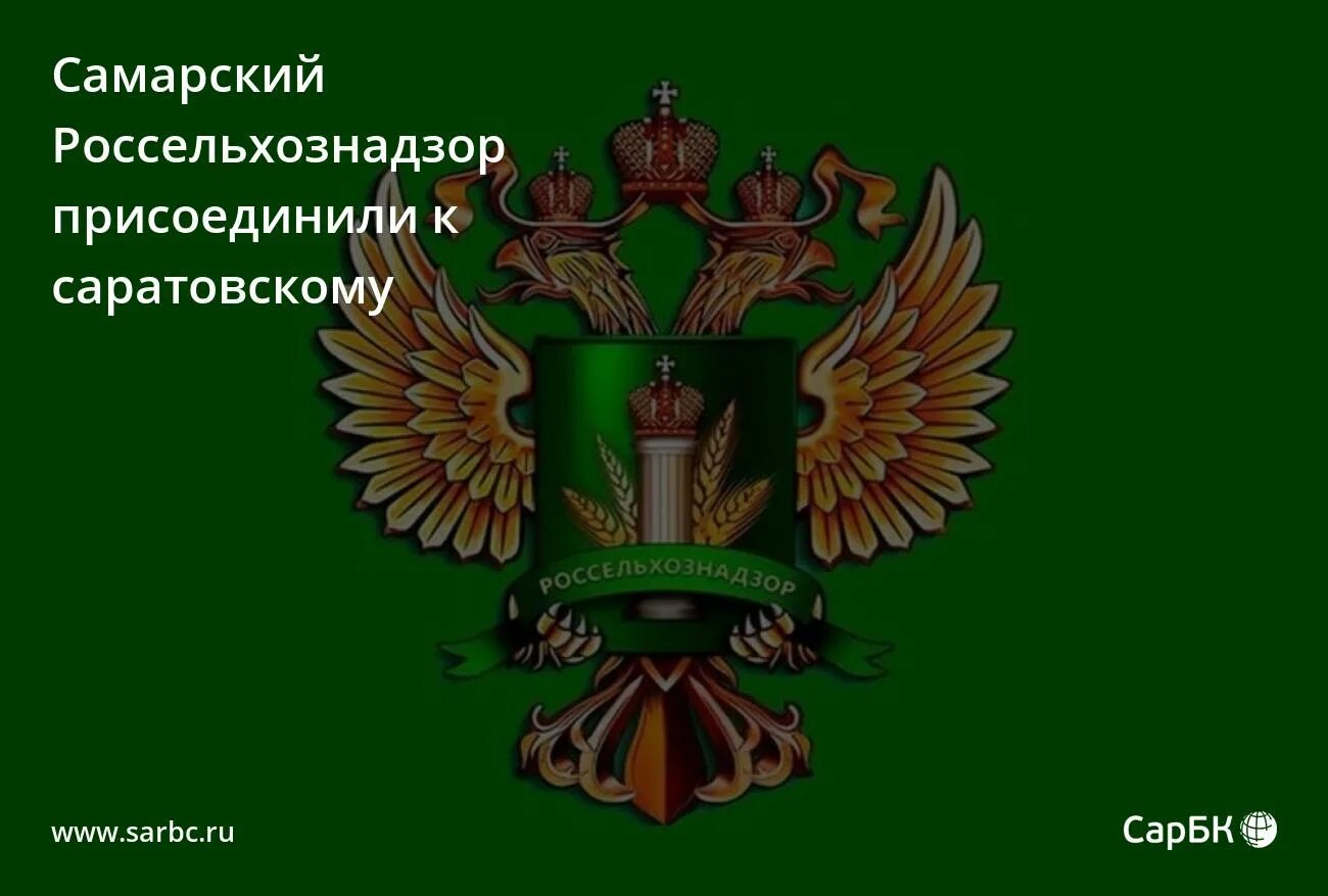 Южное межрегиональное управление россельхознадзора краснодар. Россельхознадзор великий новгород. Россельхознадзор фото. Россельхознадзор саратов. Россельхознадзор оренбург.
