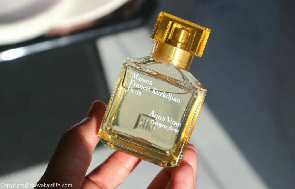 Maison Francis Kurkdjian Aqua vitae Cologne Forte. Kurkdjian Aqua vitae Cologne Forte. Maison Francis Kurkdjian Paris Aqua vitae Forte. Francis Kurkdjian Aqua vitae.