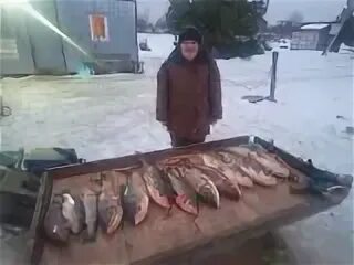 Рыбхоз лагуна в еганово. Калужская форель рыбалка. Форелевое хозяйство бирюзовое. Лагуна платная рыбалка игумново. Рыбалка 2023.