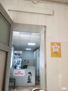 Ветмастер воронеж