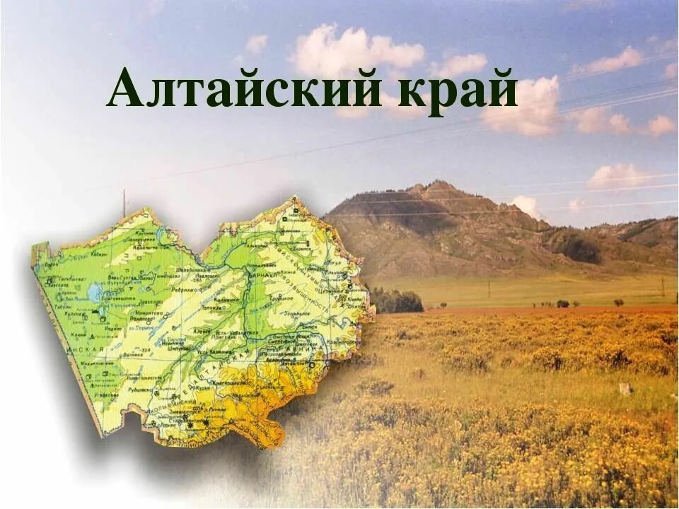 Открытка алтайский край. Детям про алтайский край. Детям про алтайский край. Любимый алтайский край. Барнаул столица алтайского края.