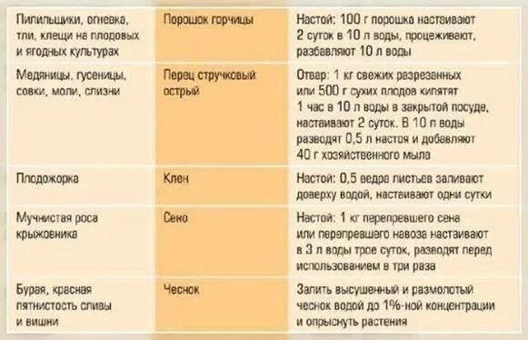 Народные средства для обработки растений. Раствор для обработки растений от вредителей. Горчица на огороде от вредителей. Мыльный раствор опрыскивание. Подкормка йодом пропорции