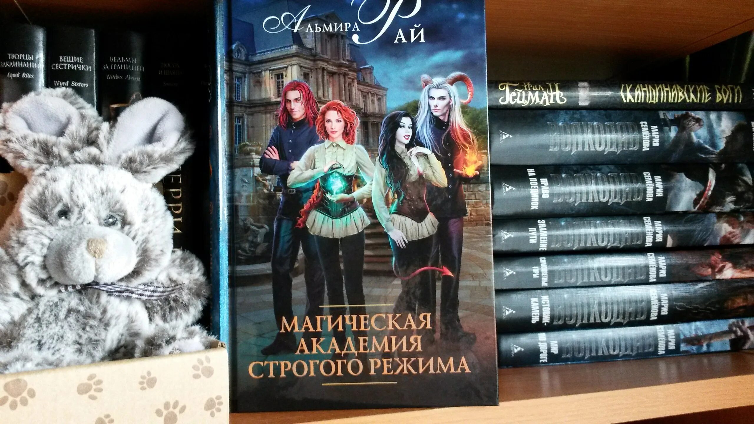 Академия строгого режима Альмира. Альмира рай магическая Академия строгого режима. Книга Академия строгого режима. Книга магическая Академия строгого режима. Читать академия отбросов