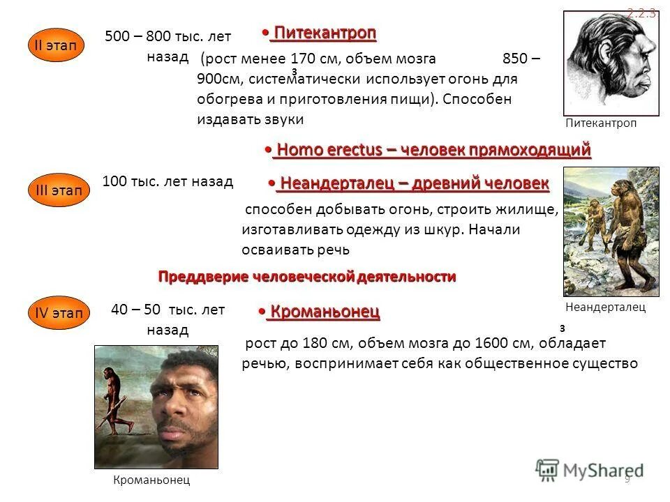 Объем мозга питекантропа. Питекантроп и синантроп это. Питекантроп характеристика. Питекантропы синантропы исторический Возраст. Питекантроп рост.