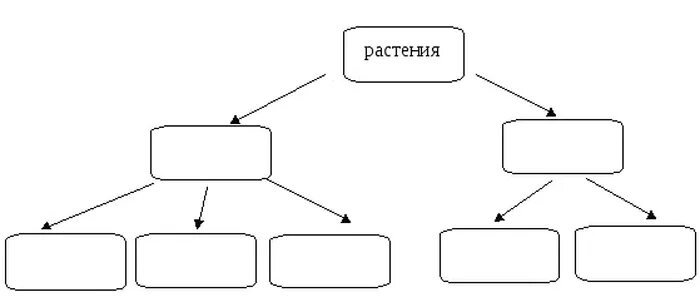 Схема чего либо. Схема что дают растения животным и человеку. схема что дают растения животным и человеку окружающий мир 3 класс. составить схему растений. схема что дают растения животным и человеку окружающий.