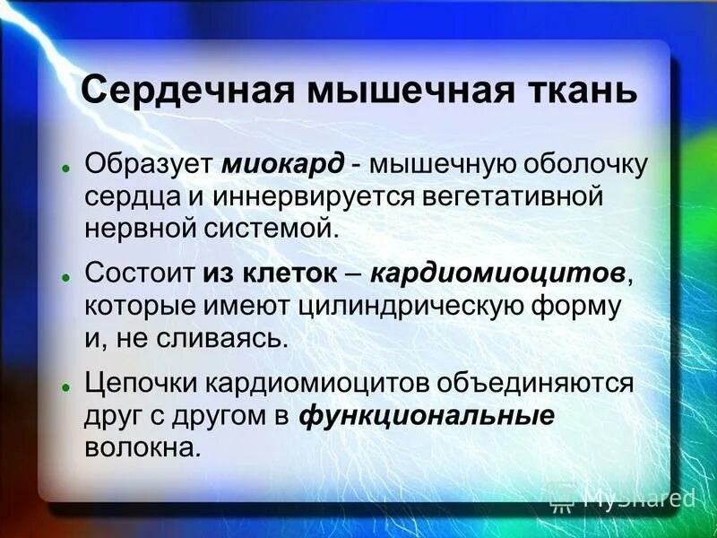 Характеристика вегетативной нервной системы анатомия. Парасимпатический отдел вегетативной нервной схема. Состоит из кардиомиоцитов иннервируется вегетативной нервной системой. Вегетативная нервная система человека таблица иннервация. Перечислите эффекты парасимпатической иннервации сердца.