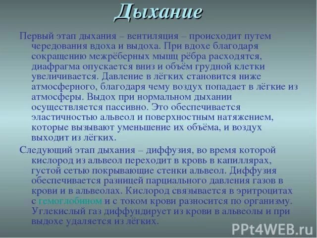 Путь воздуха во время вдоха и выдоха. Какой путь проходит во время вдоха и выдоха. Путь воздуха при вдохе и выдохе. Благодаря чему происходит выдох.