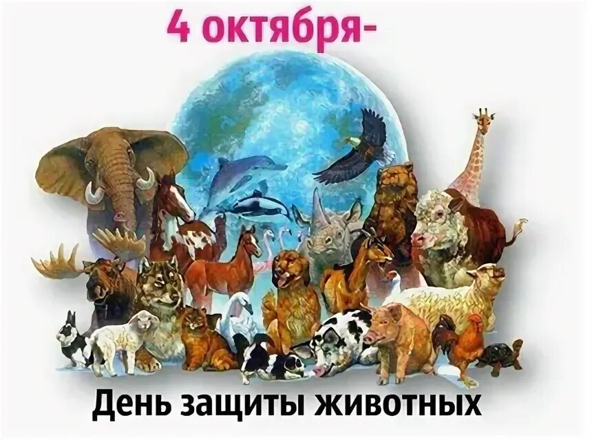 Мероприятие к всемирному дню животных. Мероприятие к всемирному дню животных