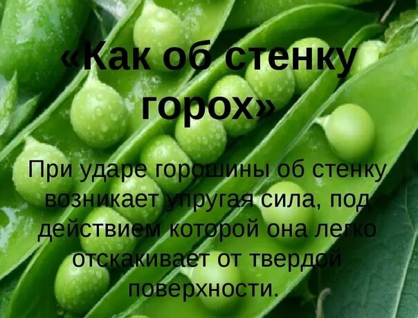 Как об стенку горох значение фразеологизма. Как об стенку горох. как о стену горох фразеологизм. горох об стену. картинка об стенку горох.