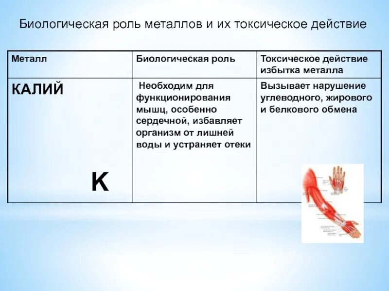 Роль металлов в живых организмах. Биологическое значение металлов. Металлы и неметаллы в организме человека. Биологическая роль металлов сообщение. Биологическая роль металлов.
