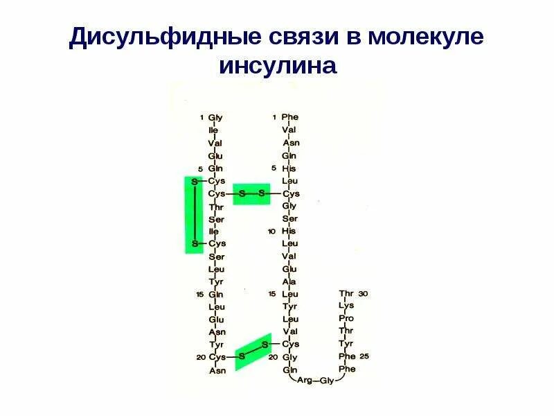Химический элемент в инсулине и тестостероне