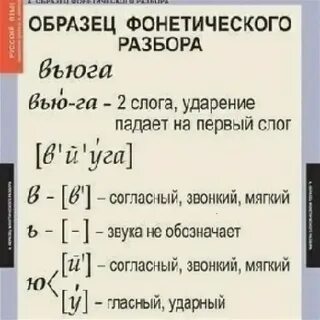Вьюга фонетический разбор 5 класс по русскому