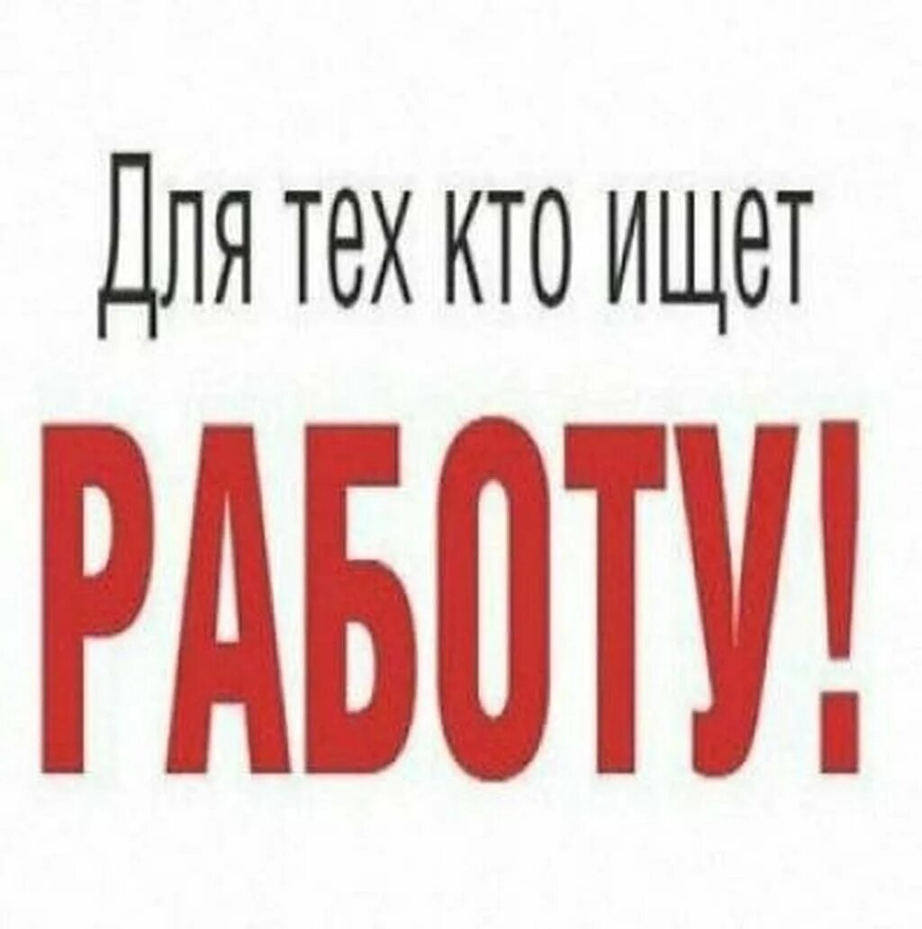Поиск любой работы