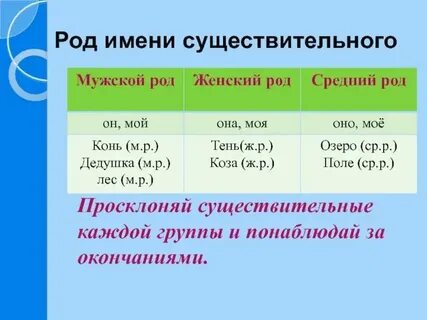 3 это какой род