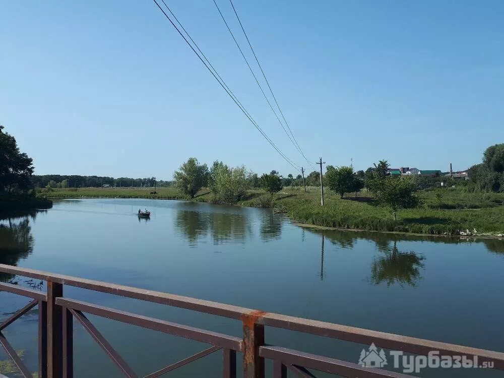 Турбазы в царевщине самара. Сосенка база отдыха шебекино. база отдыха сосенки на реке сок самара. пляж царевщина самара. сосновое турбаза самара царевщина.