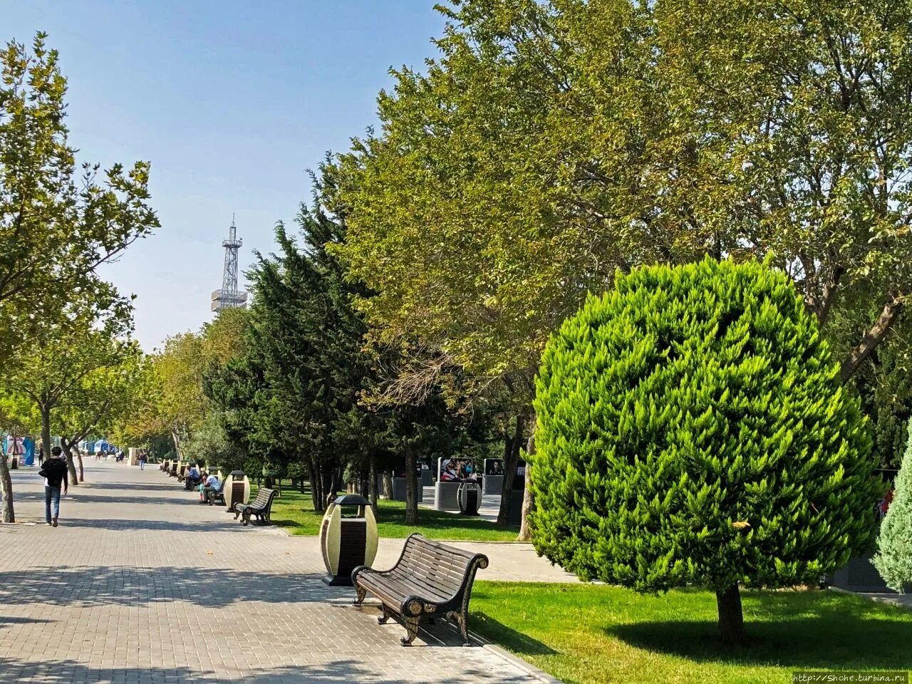 Приморский бульвар Азербайджан. Баку бульвар. Бакинский Приморский бульвар сады и парки Азербайджана. Приморский бульвар Баку. Парк азербайджан