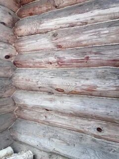 Трещины бревнах
