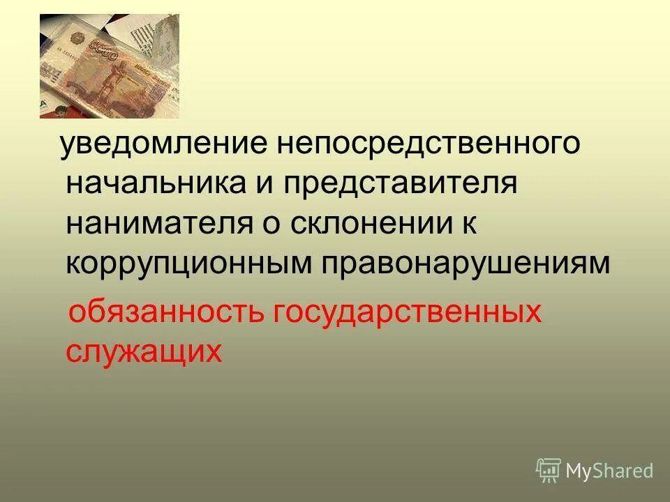 Непосредственным руководителем начальником является