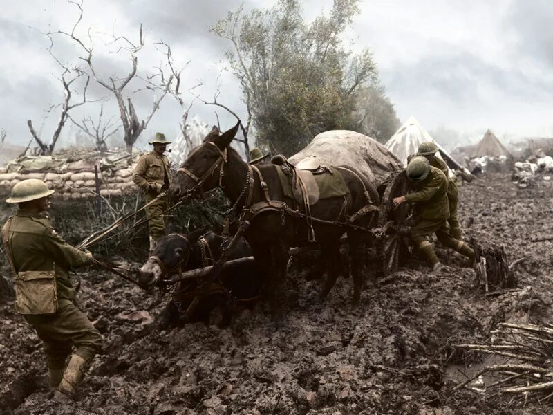 Во время первой мировой войны. WWI 1914. ПМВ 1918.