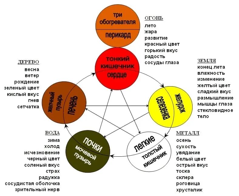 Тест 5 элементов. Пять первоэлементов китайской медицины. Схема у-син пять первоэлементов. Теория Усин 5 элементов. Система 5 элементов у-син.