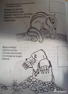 Маленький усатенький мохнатенький со спинкой полосатенький