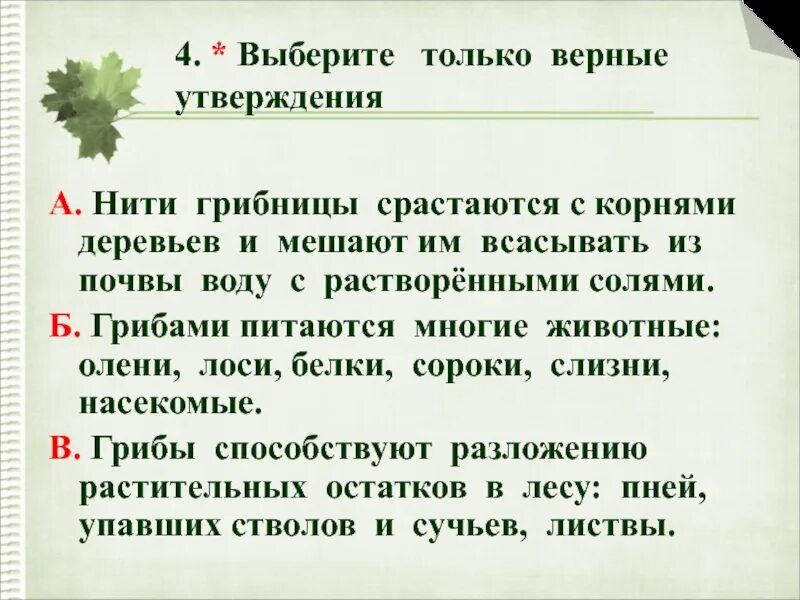 Утверждения о корне слова. Нити грибницы срастаются с корнями деревьев. Многие грибы дружат с деревьями нити срастаются с корнями деревьев. Окружающий мир допиши предложение нити грибницы срастают с корнями. Все верные утверждения о корне.