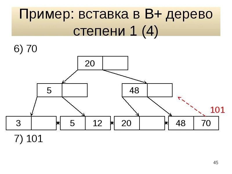 Пример 2 1 14 24. Степень дерева пример. A+B В любой степени дерево. Степень дерева.