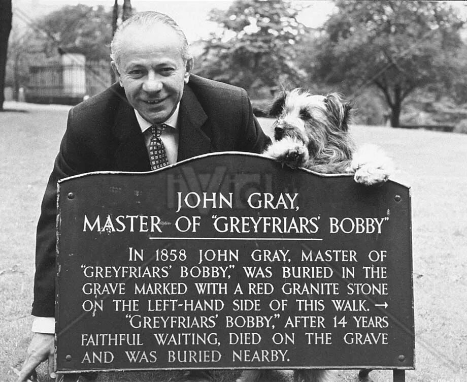 Master gray