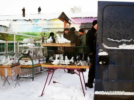 Пушкинский рынок