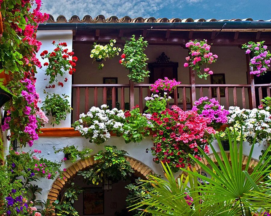 двор в цветах. дворики уютные живопись. фестиваль патио в кордове. цветочный дворик владимир. испанский дворик патио.