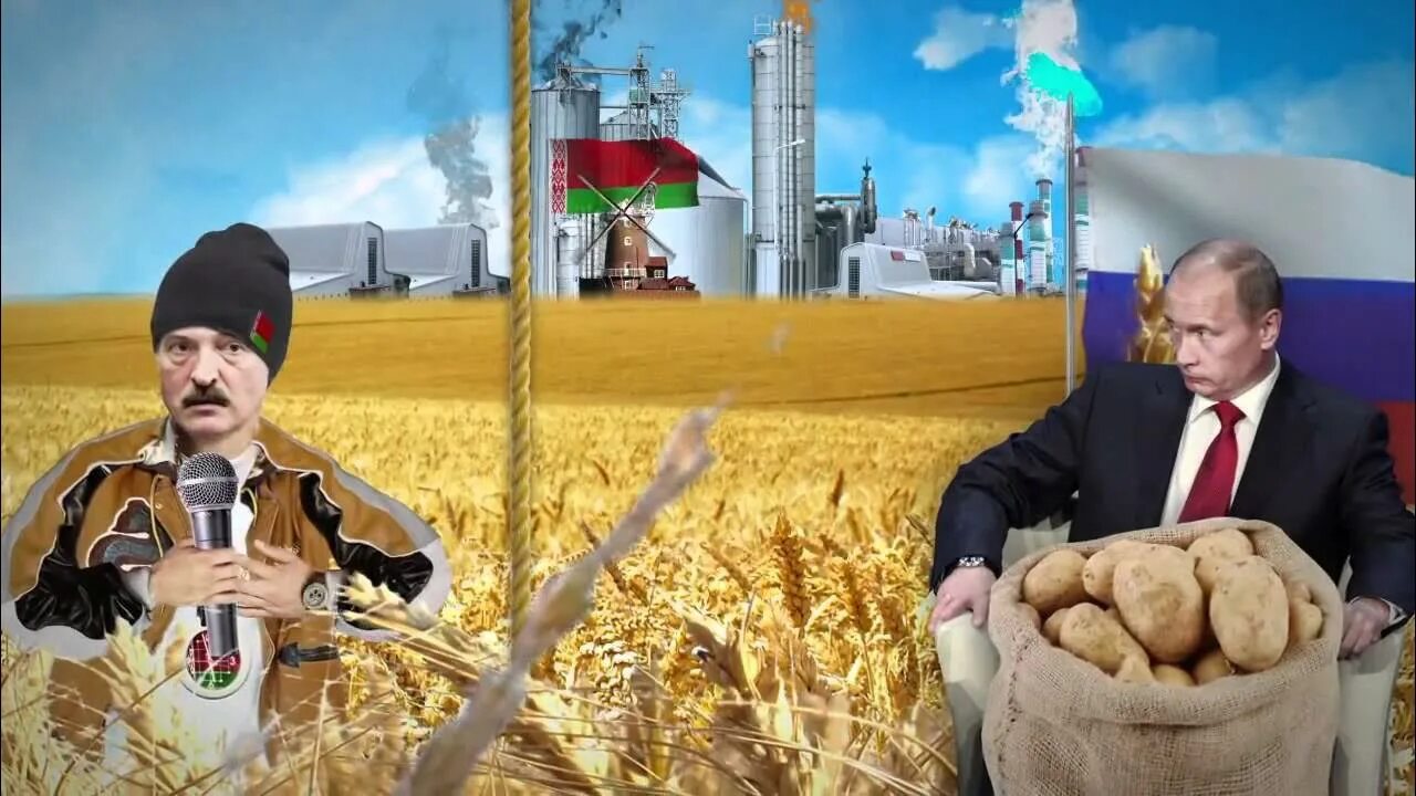 А почему лукашенко. Картошенко лукашенко. лукашенко председатель колхоза.