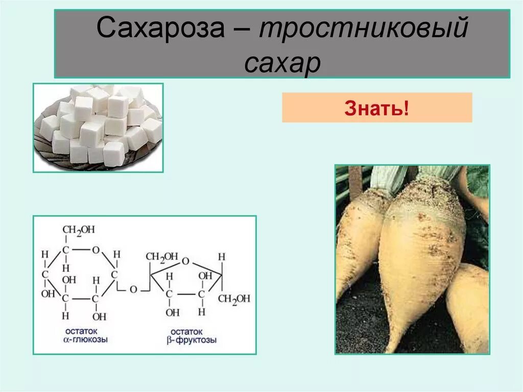 Сахароза (тростниковый, свекловичный сахар). Строение сахарозы. Сахароза сахарный тростник. Формула сахарного тростника.