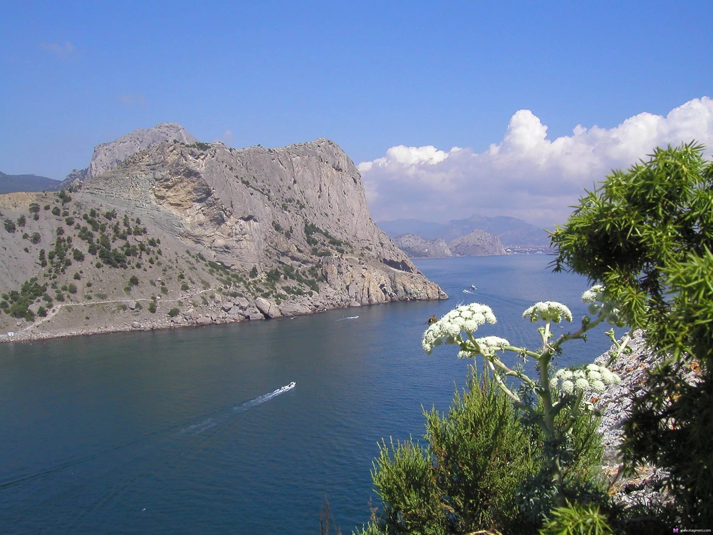 Крым. Пейзажи Крыма. Крым фото. Новый свет достопримечательности. Безопасно ли ехать в крым летом