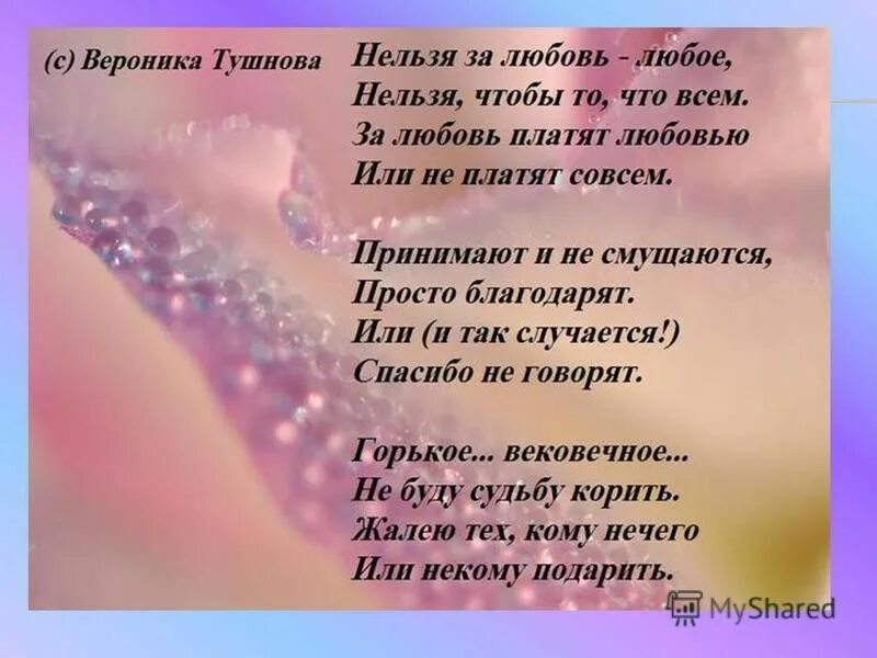 Какой нибудь слова знаешь