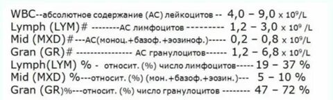 Содержание лейкоцитов в анализе мочи