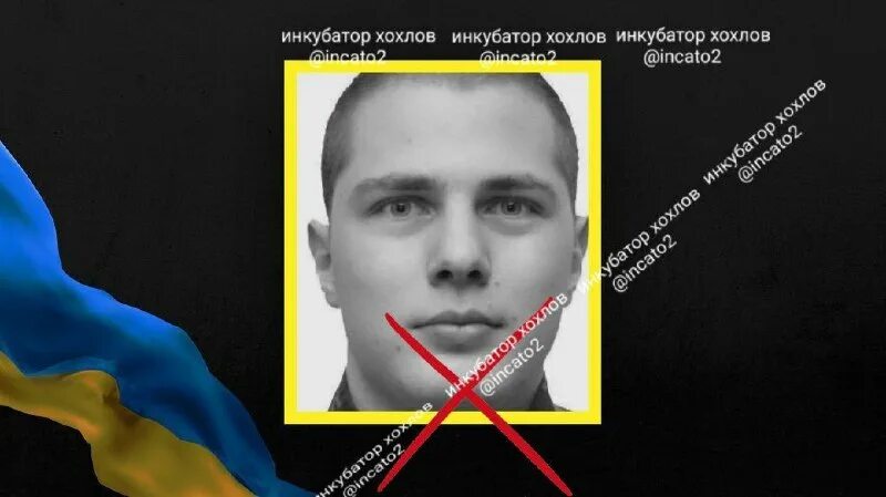 инкубатор рэмил 400ц. инкубатор хохолов. инкубатор аи 1400. инкубатор обычный. инкубатор автоматический аи-192.