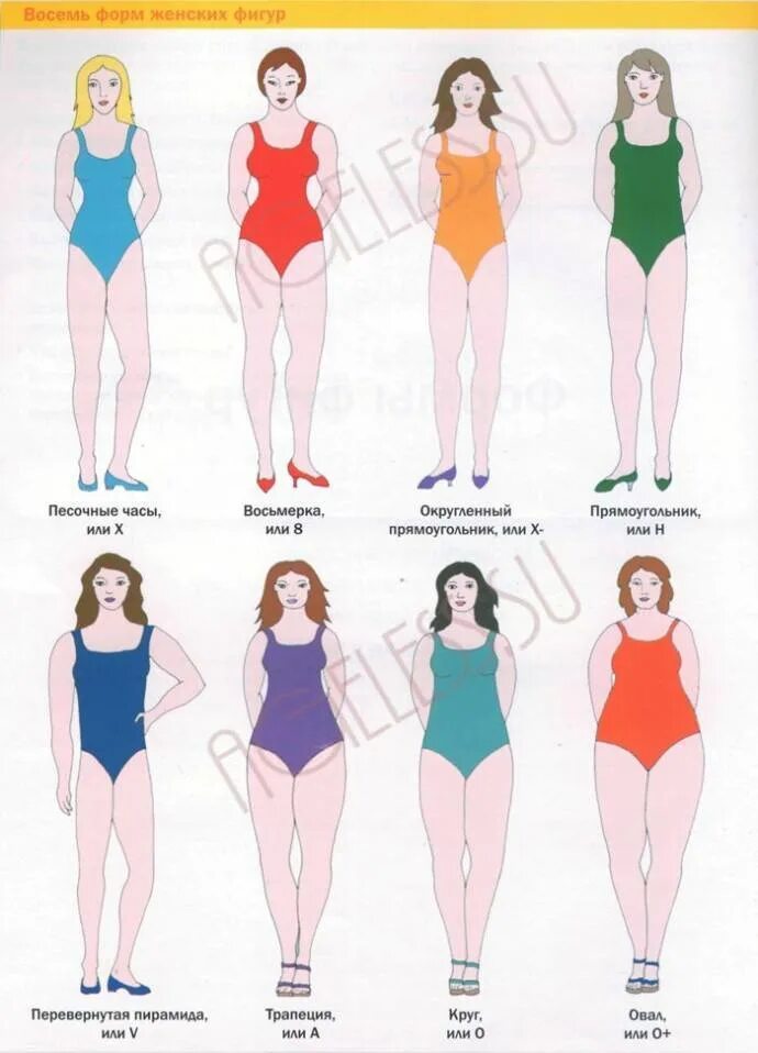 Типы фигур у женщин. Какие бывают фигуры у девушек. Формы тела женщины. Женская фигура типы фигур. Формы и фигуры.