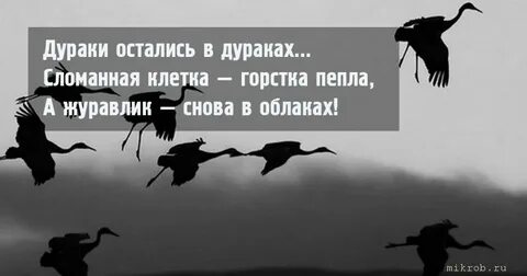 Остаться в дураках