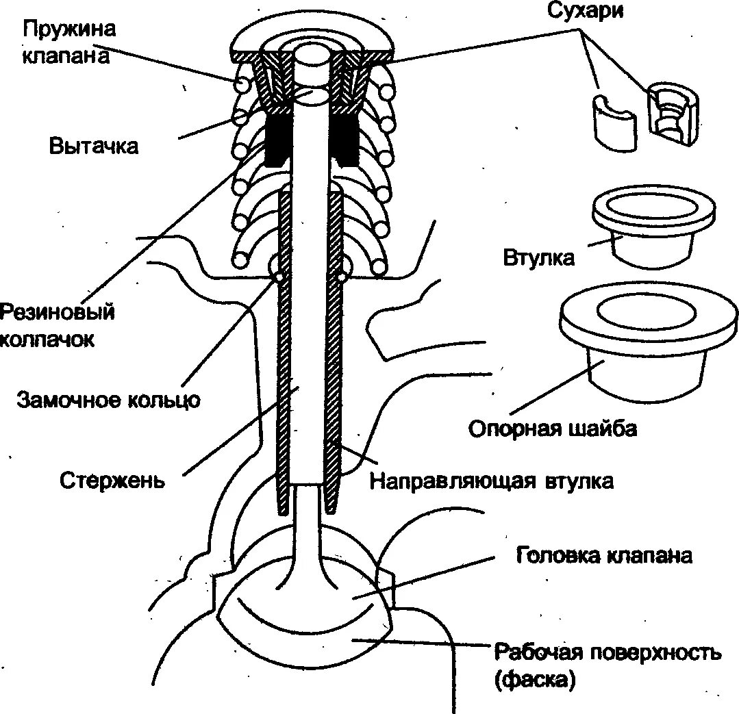 Как клапан делает операция. Схема клапана ГРМ. Устройство клапана газораспределительного механизма. Клапанный механизм ЗИЛ 130. Схема установки впускного клапана двигателя.