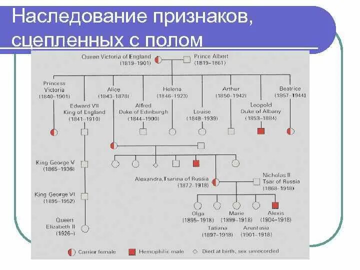 Основные наследования признаков. Наследование признаков. Типы наследования признаков. Основные типы наследования у человека. Механизм наследования признаков.