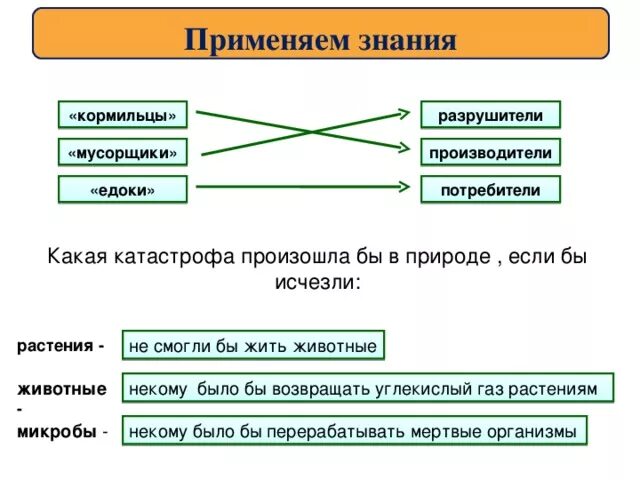 Производители потребители Разрушители. Круговорот веществ производители потребители Разрушители. Круговорот веществ в природе потребители производители Разрушители. Производители потребители Разрушители примеры.