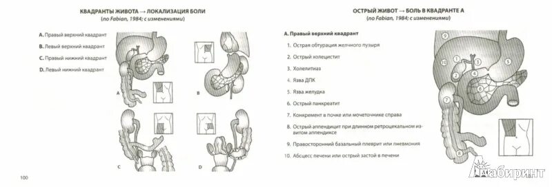 Гастроэнтеролог книга. Руководство по гастроэнтерологии. Справочник по гастроэнтеролога Вялов. Гастроэнтерология практическое руководство.