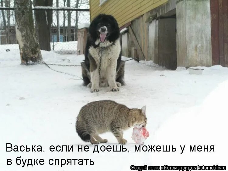 не буду больше мучить. не буду больше мучить. совесть мучает. тебе хорошо без меня. афоризмы о вечном.