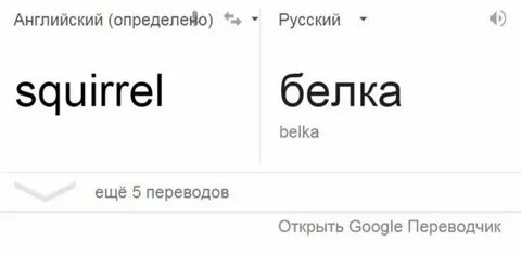 Как по английски белка