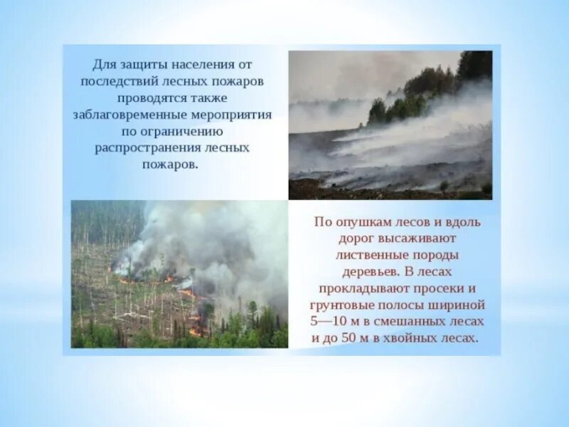 Мероприятия по предотвращению лесных и торфяных пожаров. Защита населения от лесных и торфяных пожаров. Торфяные пожары профилактические мероприятия по предупреждению. Торфяные пожары защита населения. Профилактика лесных пожаров защита населения