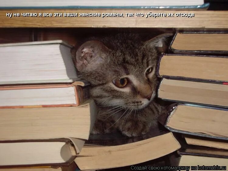 Комиксы книги. Смешные книги для чтения в метро. Смешные истории из жизни. Смешно читает книгу. Люди с книгами в метро.