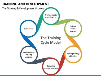 Training development
