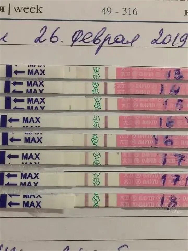 Как отследить овуляцию. Отследить овуляцию. Овуляцию контролируют. Тест на овуляцию отслеживание. Определение овуляции.